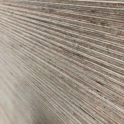 Kai Wah Altripan Uk Image 5